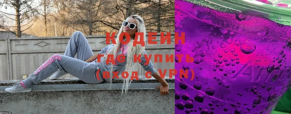 мдпв Пересвет