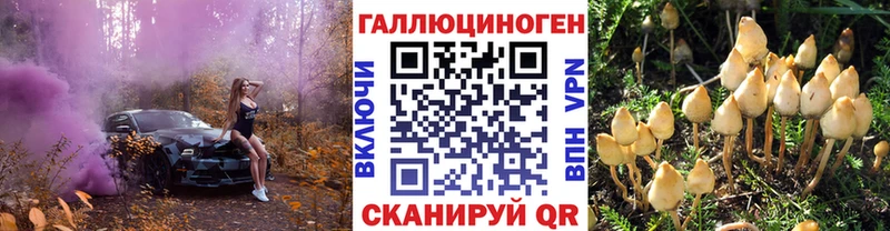 гидра ТОР  Реутов  Псилоцибиновые грибы Psilocybe 