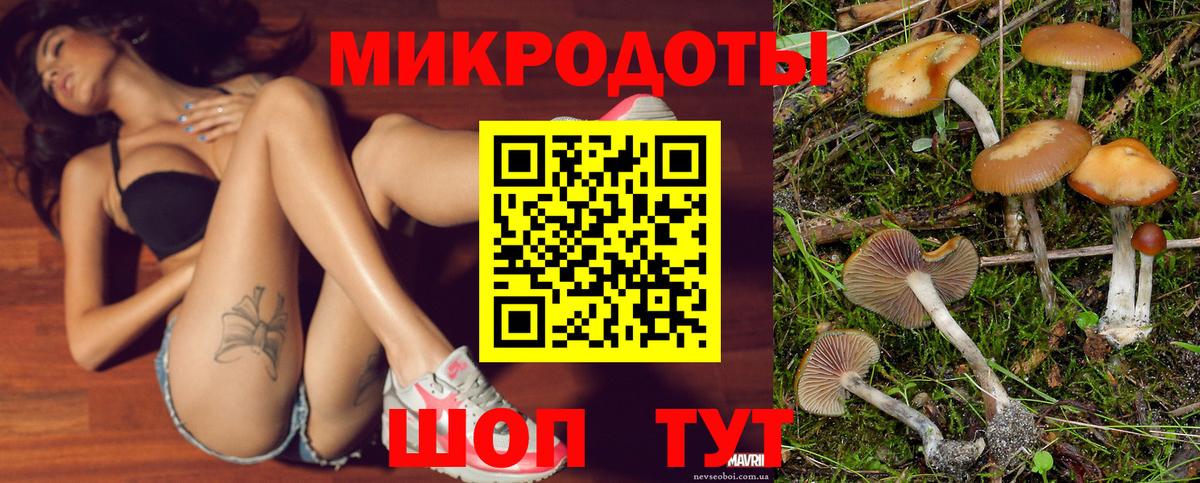 Реутов  Галлюциногенные грибы Cubensis  Вход с VPN 
