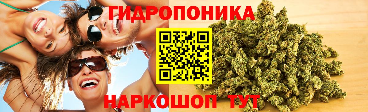 Каннабис MAZAR Реутов